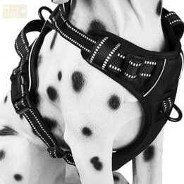 Pet Factory wholesale Amazon Ebay Wish hot large mesh dog harness 109-0001 gmtshop.com