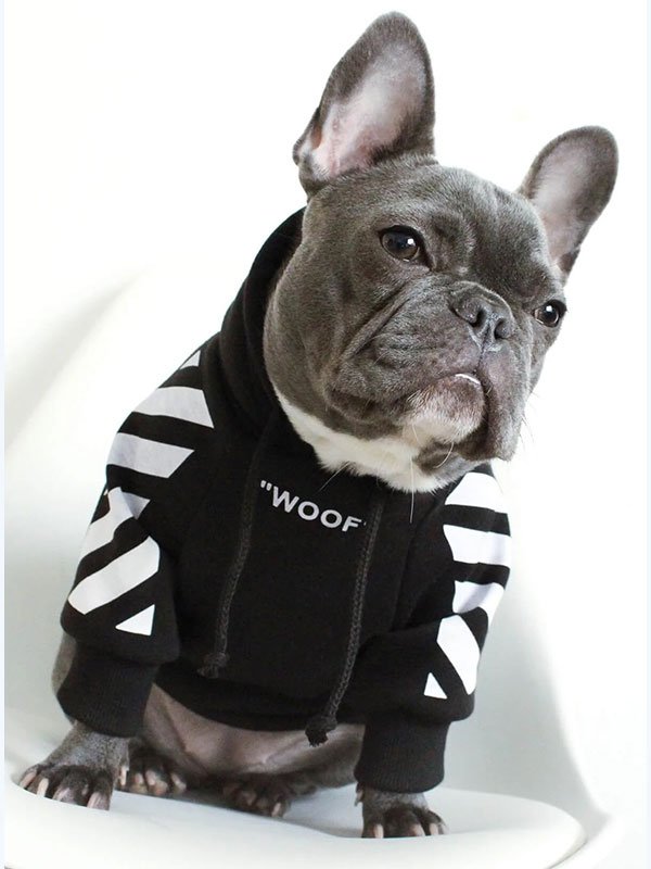 Роскошная одежда для домашних животных, теплая толстовка с капюшоном, модная зимняя дизайнерская одежда для собак на заказ, 06-1396 www.gmtshop.com
