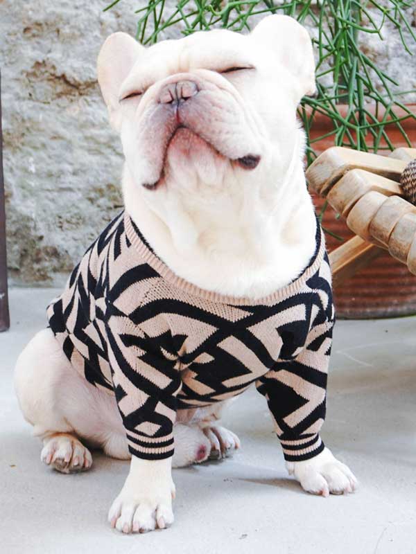 Оптовый поставщик одежды для домашних животных Роскошный вязаный свитер для собак Теплая зимняя одежда для собак 06-1392 www.gmtshop.com