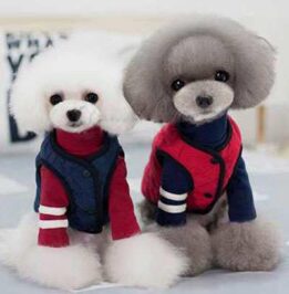 Dog Warm Winter Clothes 06-0238