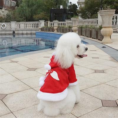 Cute Pet Accessories: Red Christmas Dog Hoodies 06-0290 Dog Clothes: Shirts, Sweaters & Jackets Apparel cat and dog clothes