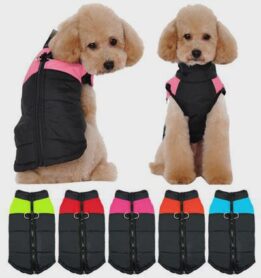 Dog Clothes Pet Accessories 06-1020