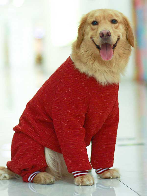 Wholesale Big Dog Clothes Autumn and Winter Clothing-06-1014
