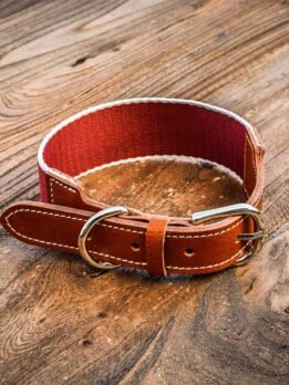 dog collar wholesale-06-0548