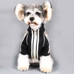 2020 Dog Coat Spring Autumn Pet Clothing Small Designer Dog Clothes gmtshop.com
