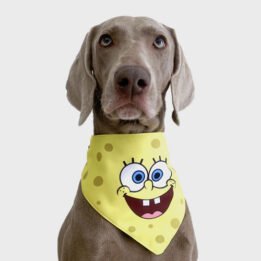 New Product Yellow Cartoon Cute Duck triangle scarf Pet Saliva Towel gmtshop.com
