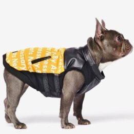 Pet Dog Clothes Vest Padded Dog Jacket Cotton Clothing for Winter gmtshop.com