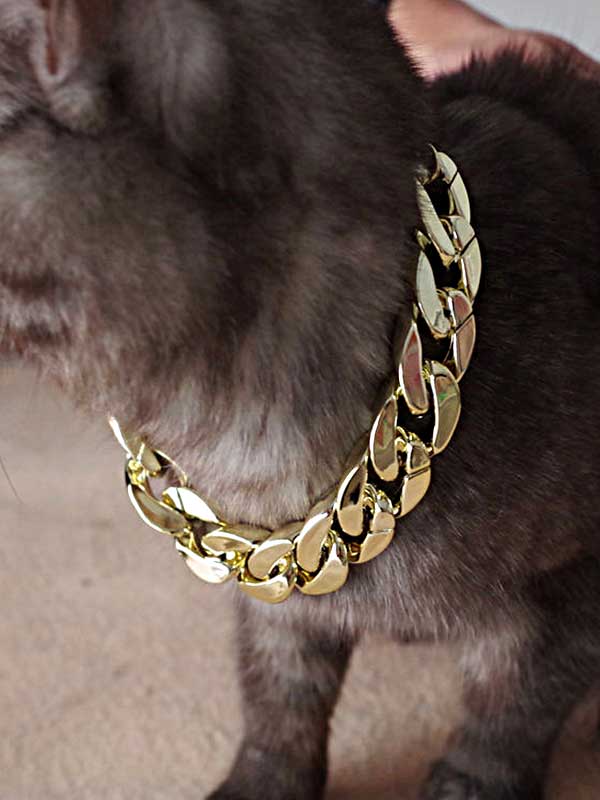 Dog Necklace Collars Gold Chain-06-0253