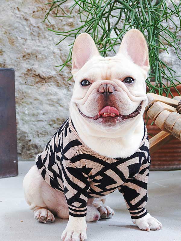Wholesale Pet Apparel Supplier Luxury Knitted Dog Sweater Warm Pet ...