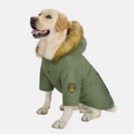 Chinese Outdoor Pet Sport Style Dog Luxury Clothes Winter Pet Dog Clothes Super Warm Jacket 06-1013-1 Dog Clothes: Shirts, Sweaters & Jackets Apparel 06-1013-1