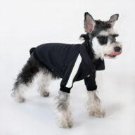 Sport Pet Clothes Custom Fashion Dog BomberJacket Blank Dog Clothes Dog Clothes: Shirts, Sweaters & Jackets Apparel Sport Pet Clothes Custom Fashion Dog BomberJacket Blank Dog Clothes