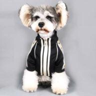 2020 Dog Coat Spring Autumn Pet Clothing Small Designer Dog Clothes Dog Clothes: Shirts, Sweaters & Jackets Apparel