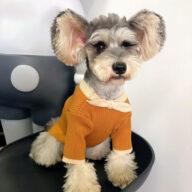 Dog Sweater Bowknot Plain Knit Sweater Cute Cat Winter Clothing Pet Clothes Pet Accessories Dog Clothes: Shirts, Sweaters & Jackets Apparel