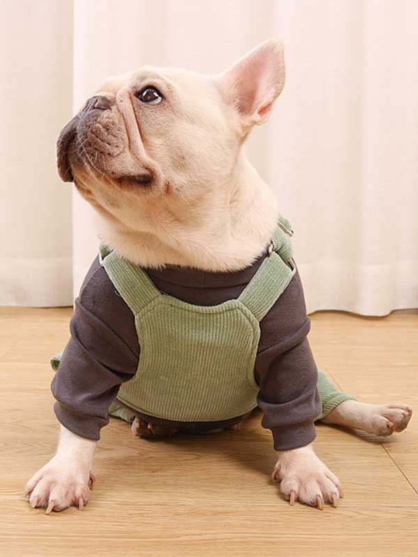 GMTPET French fighting clothes high elastic comfortable solid color plus velvet thick bottoming shirt T-shirt bulldog dog clothes 107-222016 gmtshop.com