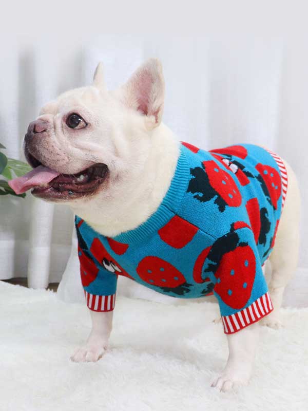 New autumn and winter dog clothes bulldog sweater strawberry cartoon short body fat dog method fighting autumn sweater 107-222041 gmtshop.com