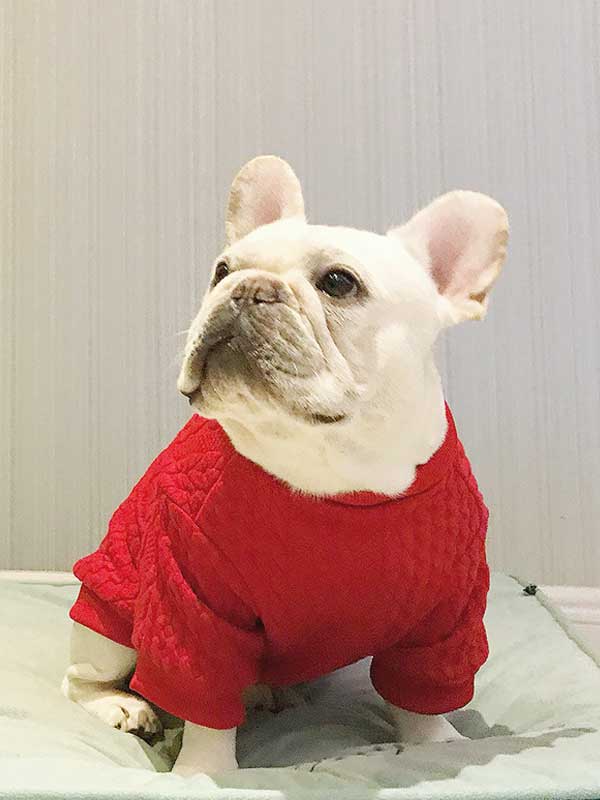 GMTPET Wholesale French Fighting Clothes Pug Fat Dog Autumn and Winter Thickened Solid Color Sweater Pullover Pet Dog Sweater 107-222005 Dog Clothes: Shirts, Sweaters & Jackets Apparel 107-222005