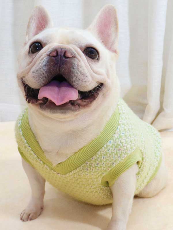 GMTPET Thickened autumn and winter fat dog short body bulldog pug dog lady plush rich rich French fighting clothes v-neck vest vest 107-222012 Dog Clothes: Shirts, Sweaters & Jackets Apparel 107-222012