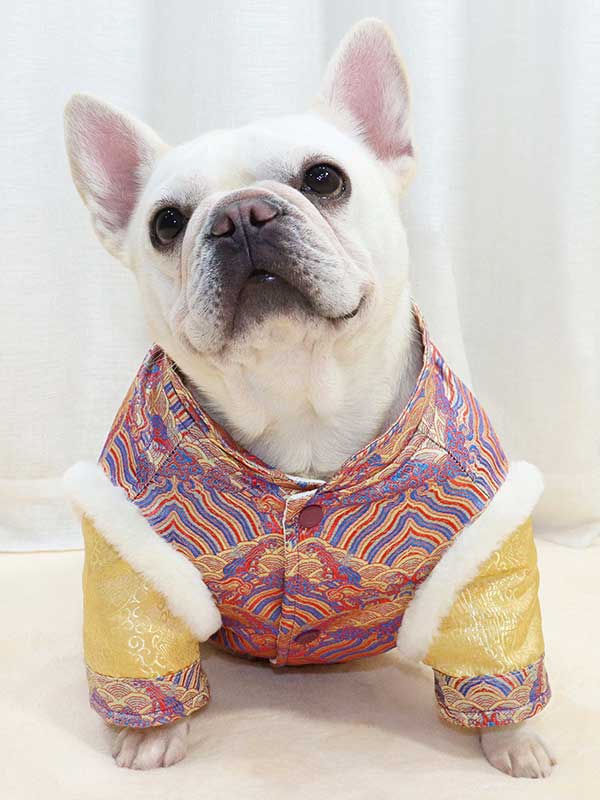 GMTPET French fighting Chinese New Year’s clothing New Year’s clothing Tang suit Chinese style fat dog bulldog dog clothes thickened rabbit fur jacket cotton coat 107-222013 Dog Clothes: Shirts, Sweaters & Jackets Apparel 107-222013