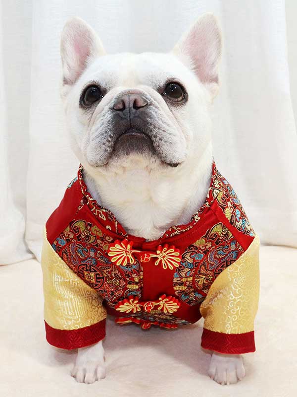 GMTPET French New Year’s clothing New Year’s clothing Tang suit Chinese style short body fat bulldog Chinese style dog clothes pet coat 107-222011 Dog Clothes: Shirts, Sweaters & Jackets Apparel 107-222011