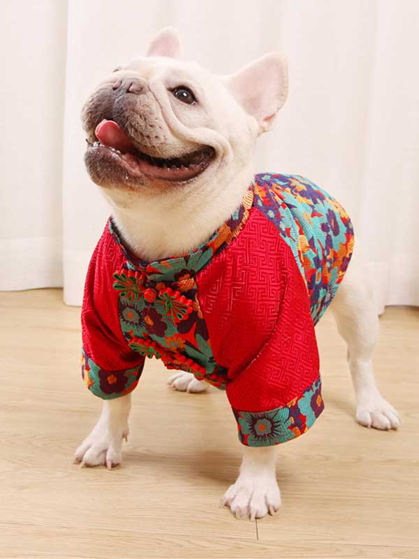 GMTPET French Dou Clothes Year Clothes Auspicious Cloud Pattern Brocade Raglan Sleeves Quilted Thick Red cheongsam dog clothes 107-222008 Dog Clothes: Shirts, Sweaters & Jackets Apparel 107-222008