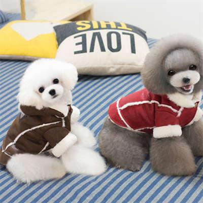 Pet Clothes Fashionable: Sex Girls Dog Dress 06-0220 Dog Clothes: Shirts, Sweaters & Jackets Apparel Clothes dog