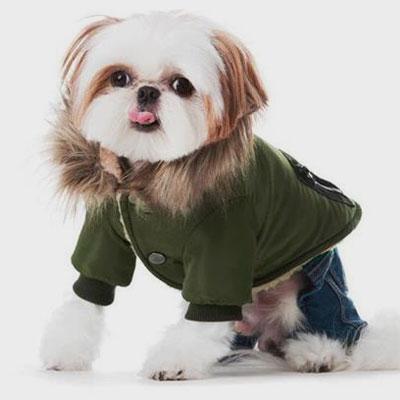 Designs Dog Clothes: Winter Taslon Waterproof 06-1236 Dog Clothes: Shirts, Sweaters & Jackets Apparel Clothes dog