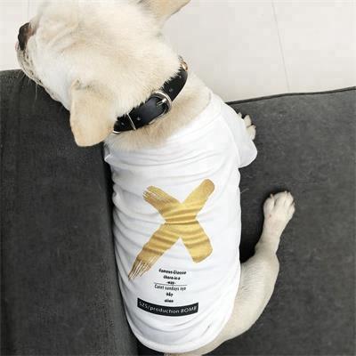 Direct Dog Clothes: Matching Dog and Owner Clothes 06-0695 Dog Clothes: Shirts, Sweaters & Jackets Apparel cat and dog clothes