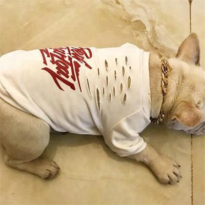Dog T-Shirt: Manufacturer Cheap Summer Pet Clothes 06-0469 Dog Clothes: Shirts, Sweaters & Jackets Apparel cat and dog clothes