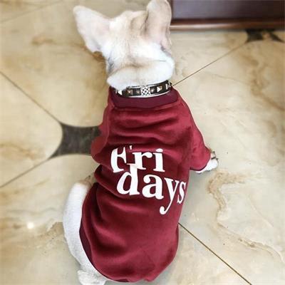 Pet Supplies Clothes: Round Collar Velvet Clothes 06-0451 Dog Clothes: Shirts, Sweaters & Jackets Apparel cat and dog clothes