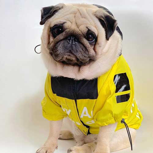 Dog Clothes Waterproof Large Raincoat Pet Jacket 06-1336 Dog Clothes: Shirts, Sweaters & Jackets Apparel adidog dog clothes