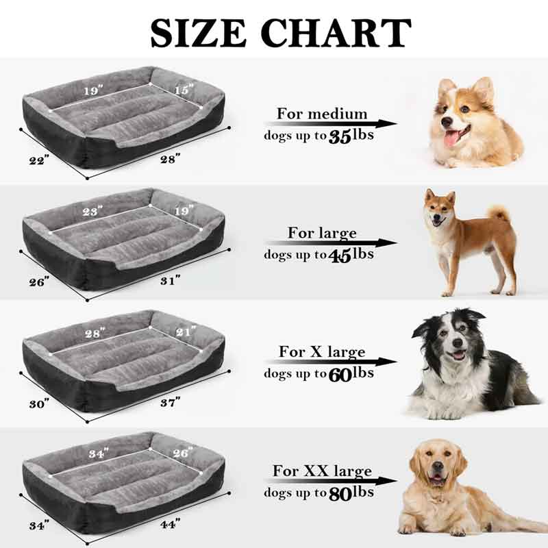 dog-bed-Size