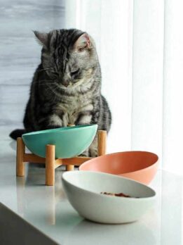 Wholesale Ceramic inclined mouth tall wooden frame cat food bowls
