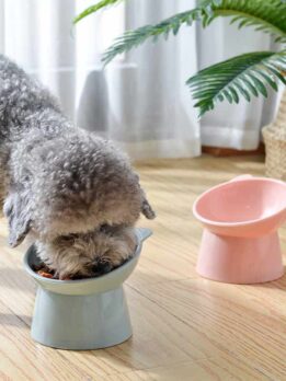 Factory Wholesale dog bowl pet bowl pet bowl supplies