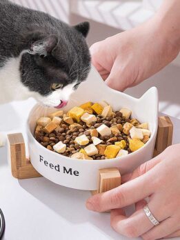 Wholesale cat bowl | ceramic double bowl | cat food bowl