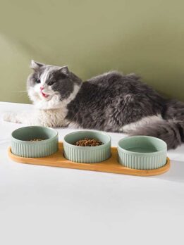 Wholesale wooden dog bowls anti-knock pet cat ceramic bowls