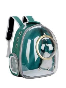 Factory OEM ODM Transparent gold circle green pet cat backpack