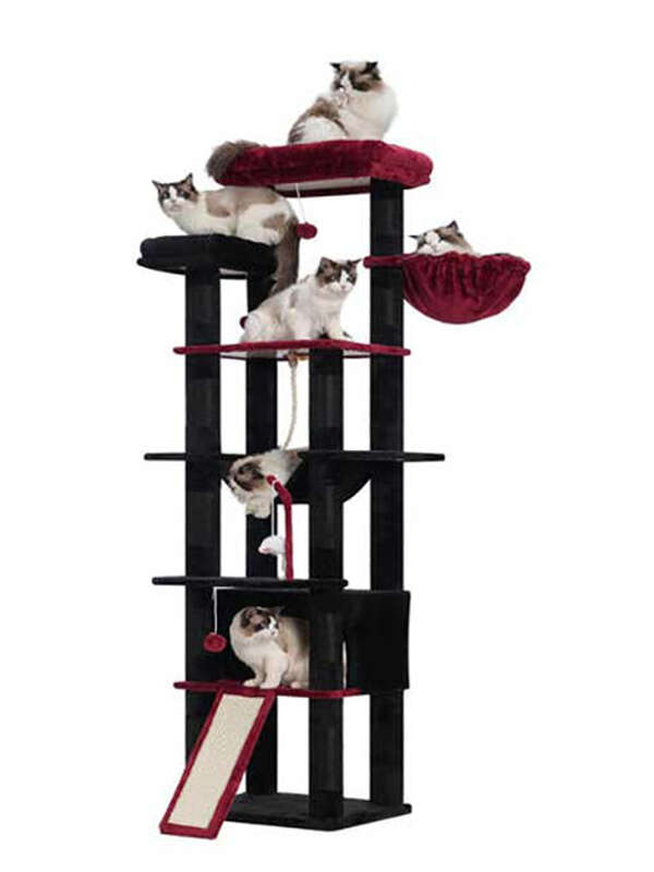 78» Halloween Cat Tree in Black Red Luxury Multi-Level Tall Indoor Cat Tower With 2 Plush Perches Scratching Board Made of Wood 105-62079 Pet Products Factory, OEM Manufacturer, Supplier, Agent gmtshop.com cat trees scratcher, bog cat tree, cat tower tree dropshipping, mushroom cat tree, purple cat tree, cat trees and scratching post, cat tree house, cat climbing tree house tower, minimalistic cat tree, cheese cat trees, cat tree tower large, cat christmas tree, cat-tree-dropshipping, cat tree for indoor cats, cat tree custom, wall-mounted cat tree, cat tree real wood, tree for big cats, wholesale cat trees, cat tree dropshipping, high quality cat tree, plastic cat tree, tree for cats 140cm, cat tree forest, custom cat tree tall, rope for cat tree, fabric for cat tree, rattan cat tree, luxury cat tree massive, simple cat tree, cat tree modern, cat tree cute, mau cat tree, cat tree wall, cat tree castle, large cat tree tower, high cat tree, 54 cat tree, cherry blossoms cat tree, cat tree 1 pieces, magic forest cat tree, cat tree house free shipping, modern wooden luxury cat tower tree, wooden cat furniture tree cat, basket cat tree, indoor stimulation tree for cats, luxury pet wooden cat tree, cute cat tree, cat tree with leaves, bookcase cat tree, real wood cat tree, pink cat tree, cat wooden tree, small cat trees, palm cat tree, luxury cat tree house, large cat tree house, cactus cat tree, lidl cat trees, cat tree parts, cat tree xl, cat wood tree, tree cat scratcher, flower cat tree, cat tree,