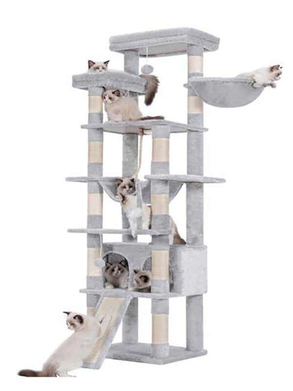 78-Inch Light Gray Cat Tree Multi-Level Indoor Cat Tower With 2 Widened Plush Perches and Big Fur Condos Toy for Tall Cats 105-62081 Pet Products Factory, OEM Manufacturer, Supplier, Agent gmtshop.com cat trees scratcher, bog cat tree, cat tower tree dropshipping, mushroom cat tree, purple cat tree, cat trees and scratching post, cat tree house, cat climbing tree house tower, minimalistic cat tree, cheese cat trees, cat tree tower large, cat christmas tree, cat-tree-dropshipping, cat tree for indoor cats, cat tree custom, wall-mounted cat tree, cat tree real wood, tree for big cats, wholesale cat trees, cat tree dropshipping, high quality cat tree, plastic cat tree, tree for cats 140cm, cat tree forest, custom cat tree tall, rope for cat tree, fabric for cat tree, rattan cat tree, luxury cat tree massive, simple cat tree, cat tree modern, cat tree cute, mau cat tree, cat tree wall, cat tree castle, large cat tree tower, high cat tree, 54 cat tree, cherry blossoms cat tree, cat tree 1 pieces, magic forest cat tree, cat tree house free shipping, modern wooden luxury cat tower tree, wooden cat furniture tree cat, basket cat tree, indoor stimulation tree for cats, luxury pet wooden cat tree, cute cat tree, cat tree with leaves, bookcase cat tree, real wood cat tree, pink cat tree, cat wooden tree, small cat trees, palm cat tree, luxury cat tree house, large cat tree house, cactus cat tree, lidl cat trees, cat tree parts, cat tree xl, cat wood tree, tree cat scratcher, flower cat tree, cat tree,