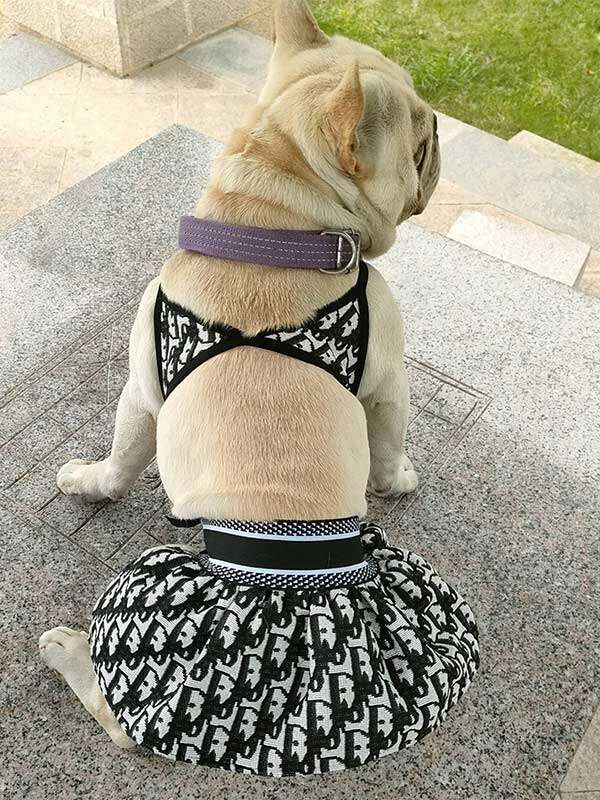 Wholesale pet clothing, pet bikini, dog swimwear, cat and dog clothes, pet party costume Wholesale pet clothing, pet bikini, dog swimwear, cat and dog clothes, pet party costume