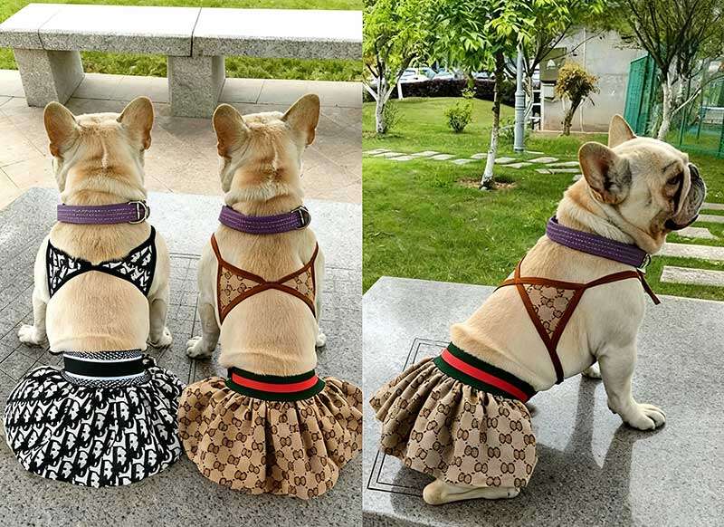 Wholesale pet clothing, pet bikini, dog swimwear, cat and dog clothes, pet party costume